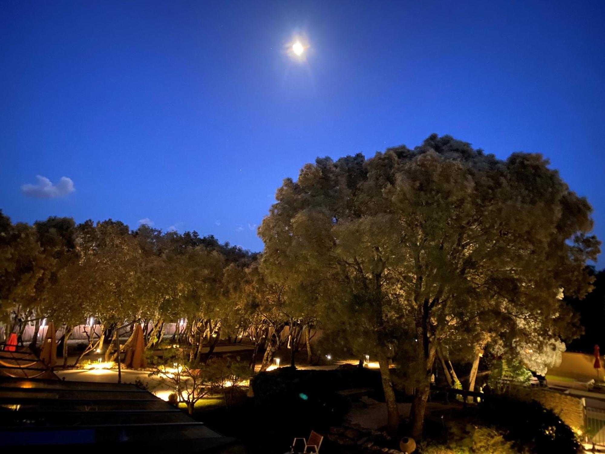 Logis La Bastide De Grignan Hotel & Restaurant "La Chenaie" Bagian luar foto